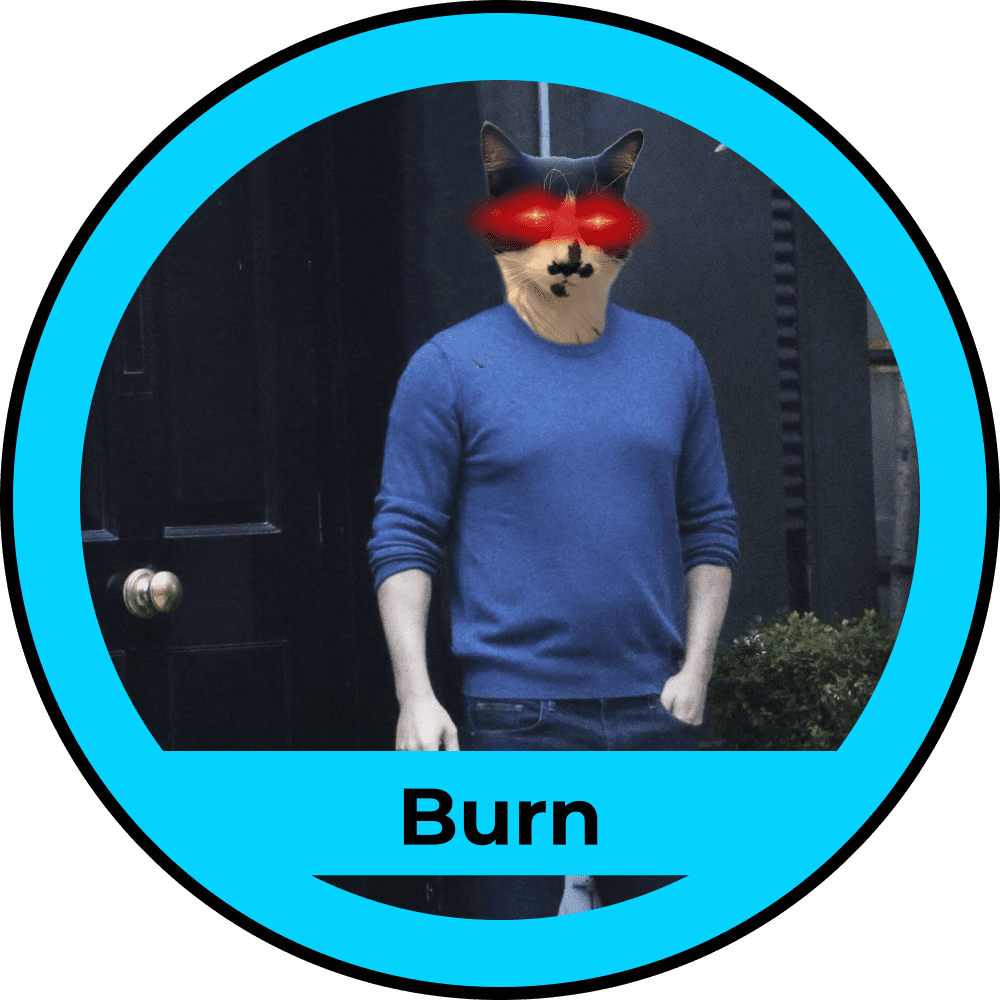 Burn_2