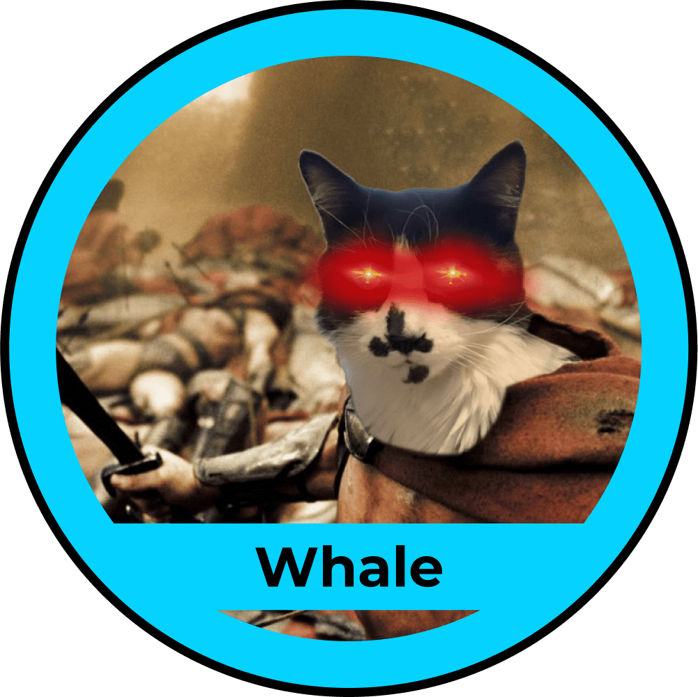 Whale_2 compressed